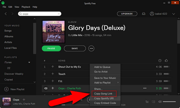 Can You Download Songs On Spotify With Data